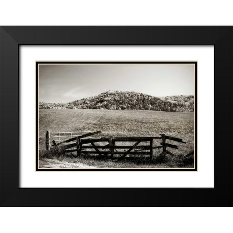 Autumn Pastures IV Black Modern Wood Framed Art Print with Double Matting by Hausenflock, Alan