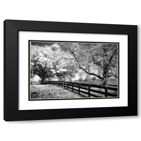 Rural Route III3 I Black Modern Wood Framed Art Print with Double Matting by Hausenflock, Alan