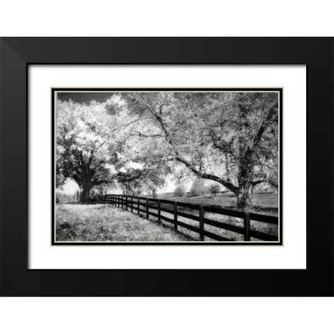Rural Route III3 I Black Modern Wood Framed Art Print with Double Matting by Hausenflock, Alan