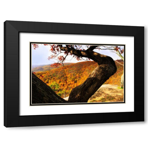 Wildcat Ridge I Black Modern Wood Framed Art Print with Double Matting by Hausenflock, Alan