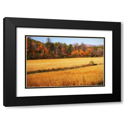 Sperryville Fields III Black Modern Wood Framed Art Print with Double Matting by Hausenflock, Alan