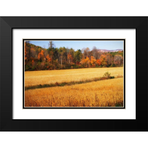 Sperryville Fields III Black Modern Wood Framed Art Print with Double Matting by Hausenflock, Alan