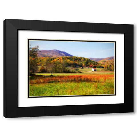 Autumn Fields II Black Modern Wood Framed Art Print with Double Matting by Hausenflock, Alan
