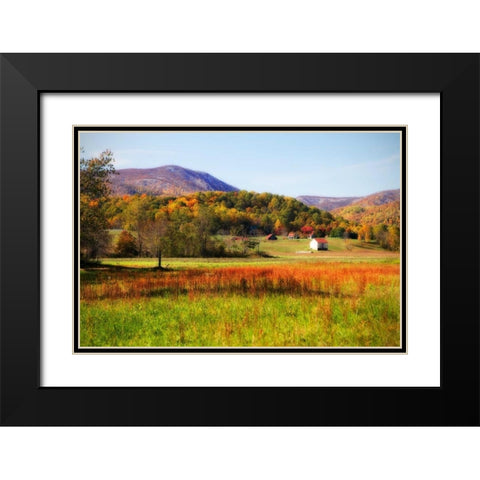 Autumn Fields II Black Modern Wood Framed Art Print with Double Matting by Hausenflock, Alan