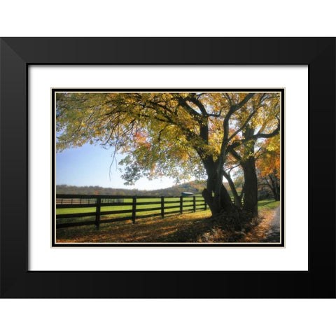 Hillside Farm I Black Modern Wood Framed Art Print with Double Matting by Hausenflock, Alan