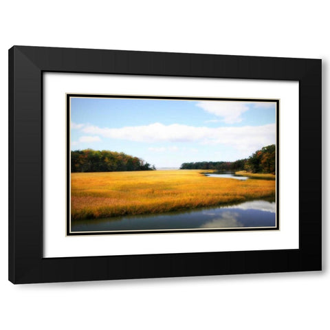 Kings Creek I Black Modern Wood Framed Art Print with Double Matting by Hausenflock, Alan