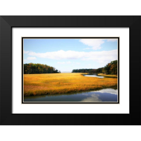 Kings Creek I Black Modern Wood Framed Art Print with Double Matting by Hausenflock, Alan