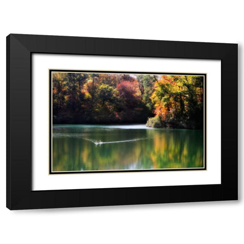Swans on the Lake I Black Modern Wood Framed Art Print with Double Matting by Hausenflock, Alan