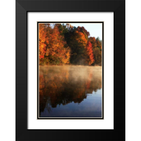 Autumn Mist I Black Modern Wood Framed Art Print with Double Matting by Hausenflock, Alan