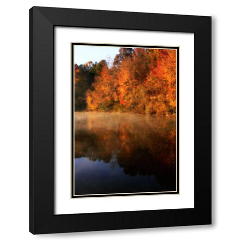 Autumn Mist II Black Modern Wood Framed Art Print with Double Matting by Hausenflock, Alan