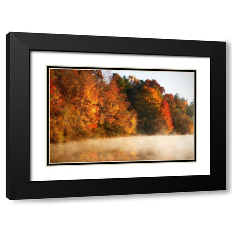 Autumn Mist III Black Modern Wood Framed Art Print with Double Matting by Hausenflock, Alan