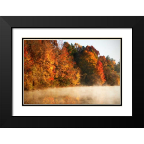 Autumn Mist III Black Modern Wood Framed Art Print with Double Matting by Hausenflock, Alan