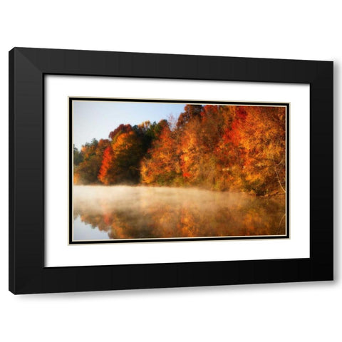 Autumn Mist IV Black Modern Wood Framed Art Print with Double Matting by Hausenflock, Alan
