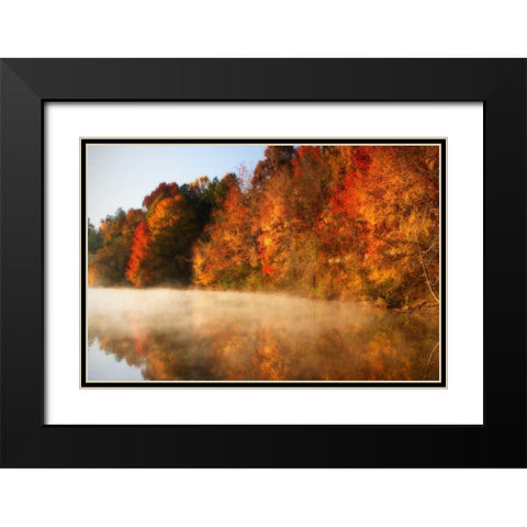 Autumn Mist IV Black Modern Wood Framed Art Print with Double Matting by Hausenflock, Alan