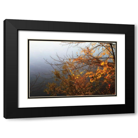 Leaves of Orange II Black Modern Wood Framed Art Print with Double Matting by Hausenflock, Alan