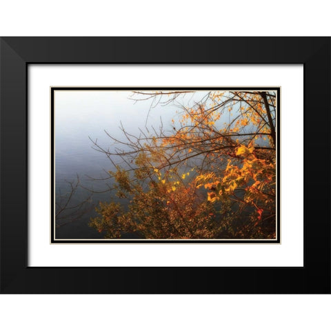Leaves of Orange II Black Modern Wood Framed Art Print with Double Matting by Hausenflock, Alan