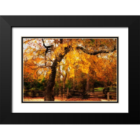 Split Rail Fence IV Black Modern Wood Framed Art Print with Double Matting by Hausenflock, Alan