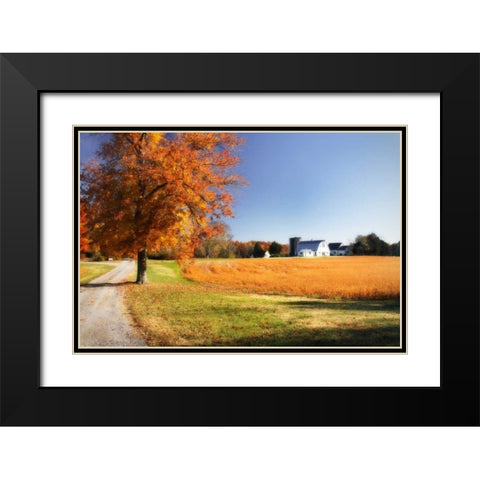Family Farm I Black Modern Wood Framed Art Print with Double Matting by Hausenflock, Alan