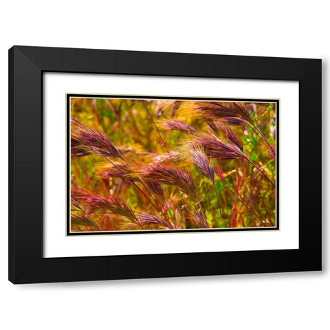 Colorful Brush Black Modern Wood Framed Art Print with Double Matting by Johnson, George