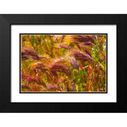 Colorful Brush Black Modern Wood Framed Art Print with Double Matting by Johnson, George