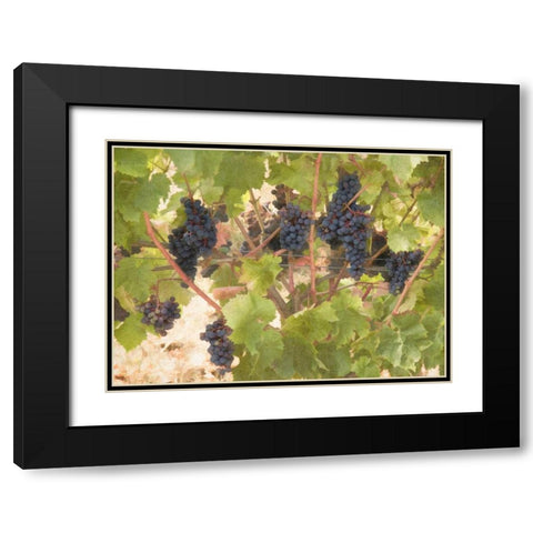 Low Hanging Fruit Black Modern Wood Framed Art Print with Double Matting by Johnson, George