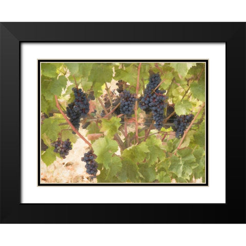 Low Hanging Fruit Black Modern Wood Framed Art Print with Double Matting by Johnson, George