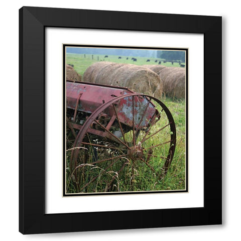 Sewing Seeds I Black Modern Wood Framed Art Print with Double Matting by Larson, Scott