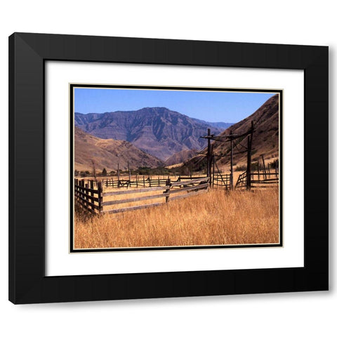 Summer Corral II Black Modern Wood Framed Art Print with Double Matting by Larson, Scott