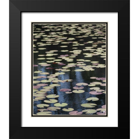 Lily Pond I Black Modern Wood Framed Art Print with Double Matting by Larson, Scott