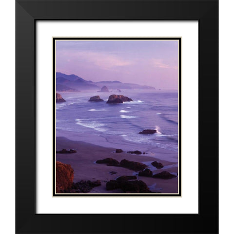 Ecola State Park I Black Modern Wood Framed Art Print with Double Matting by Leahy, Ike