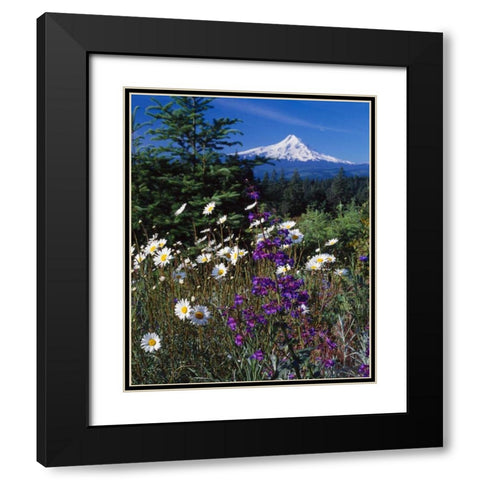 Mt. Hood V Black Modern Wood Framed Art Print with Double Matting by Leahy, Ike