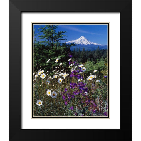 Mt. Hood V Black Modern Wood Framed Art Print with Double Matting by Leahy, Ike