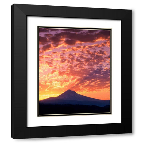 Mt. Hood XXII Black Modern Wood Framed Art Print with Double Matting by Leahy, Ike