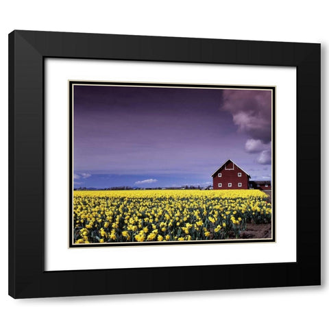 Barn in Daffodils Black Modern Wood Framed Art Print with Double Matting by Leahy, Ike