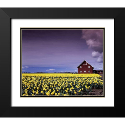 Barn in Daffodils Black Modern Wood Framed Art Print with Double Matting by Leahy, Ike