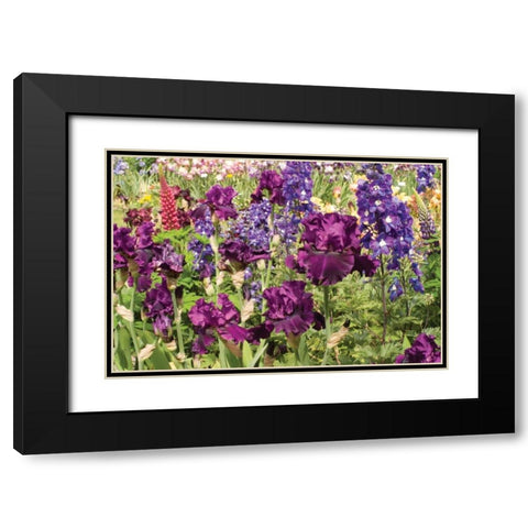 Purple Garden II Black Modern Wood Framed Art Print with Double Matting by Love, Maureen