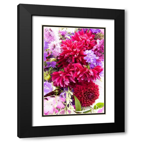 Fuschia Dalhia I Black Modern Wood Framed Art Print with Double Matting by Love, Maureen