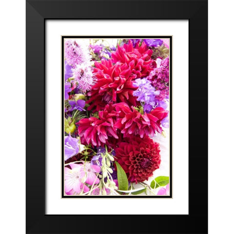 Fuschia Dalhia I Black Modern Wood Framed Art Print with Double Matting by Love, Maureen