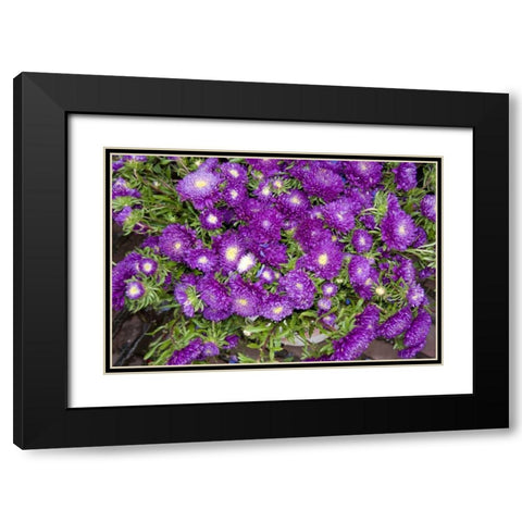 Purple Stars I Black Modern Wood Framed Art Print with Double Matting by Love, Maureen