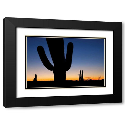Clear Saguaro Sunset I Black Modern Wood Framed Art Print with Double Matting by Malvin, Larry