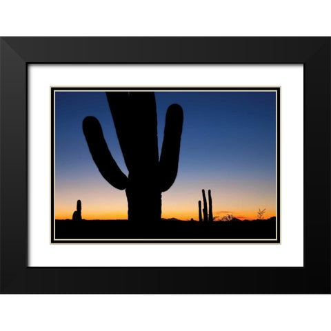 Clear Saguaro Sunset I Black Modern Wood Framed Art Print with Double Matting by Malvin, Larry