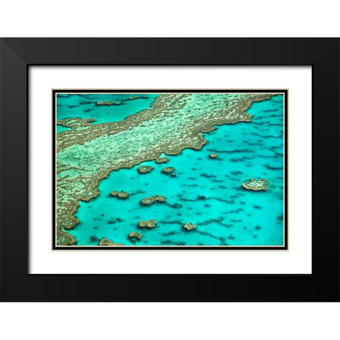 Great Barrier Reef I Black Modern Wood Framed Art Print with Double Matting by Malvin, Larry