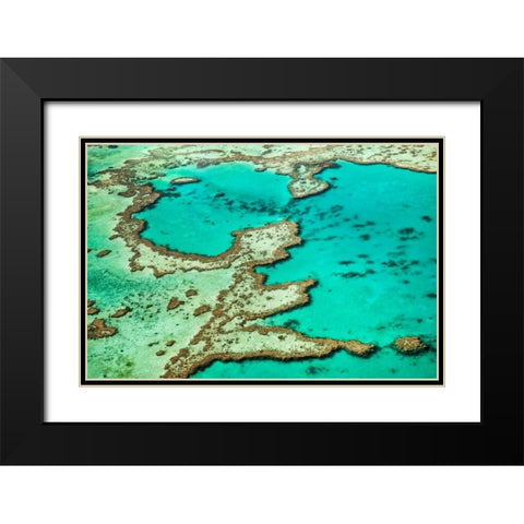 Great Barrier Reef III Black Modern Wood Framed Art Print with Double Matting by Malvin, Larry