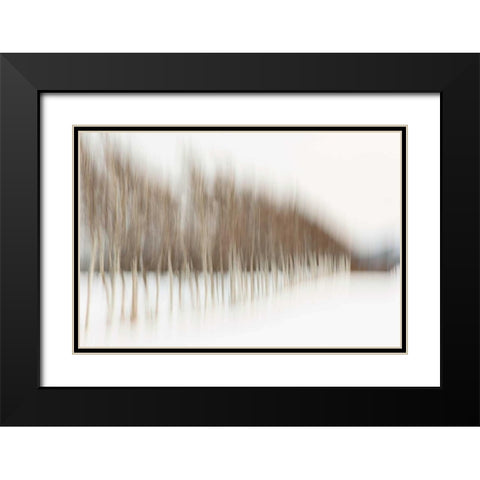 Birch Blur I Black Modern Wood Framed Art Print with Double Matting by Malvin, Larry