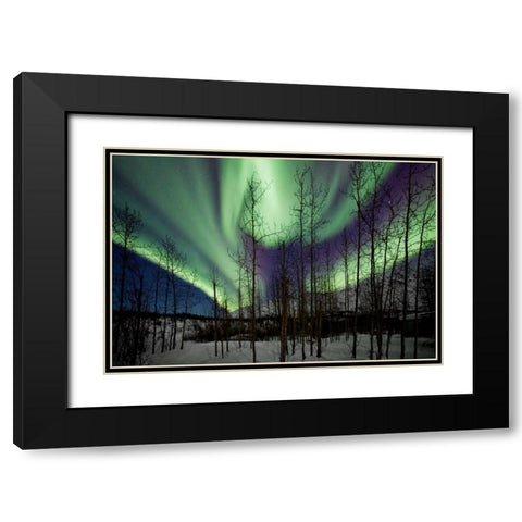 Aurora Borealis IX Black Modern Wood Framed Art Print with Double Matting by Malvin, Larry