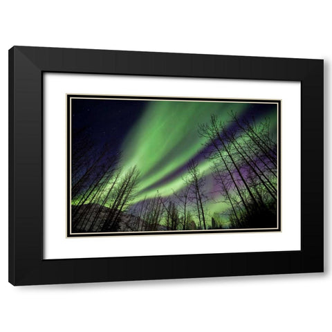 Aurora Borealis XI Black Modern Wood Framed Art Print with Double Matting by Malvin, Larry