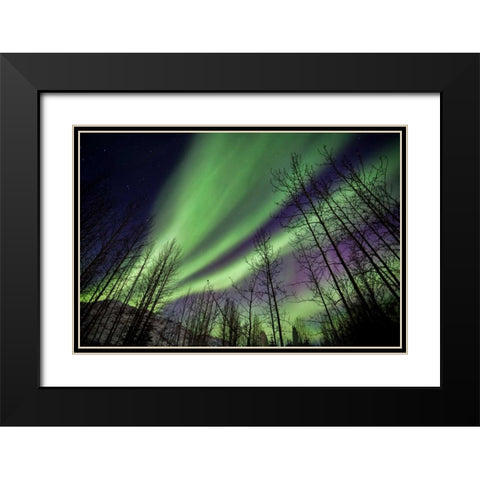 Aurora Borealis XI Black Modern Wood Framed Art Print with Double Matting by Malvin, Larry