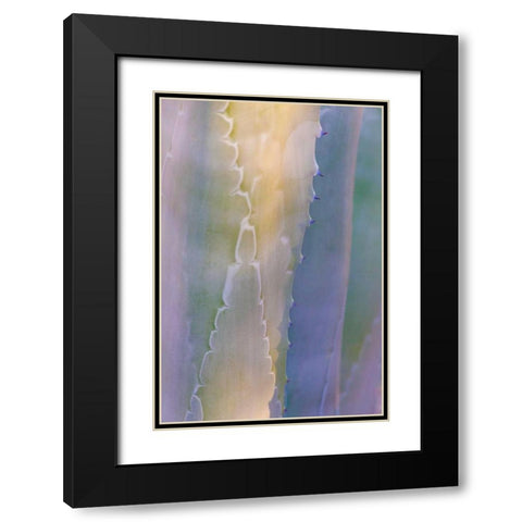 Agave III Black Modern Wood Framed Art Print with Double Matting by Mahan, Kathy
