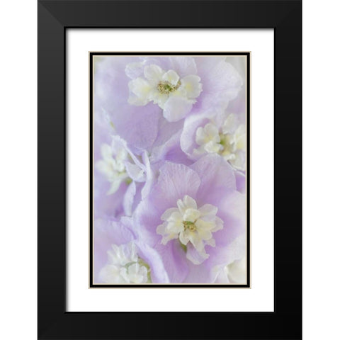Delphinium Blossoms II Black Modern Wood Framed Art Print with Double Matting by Mahan, Kathy