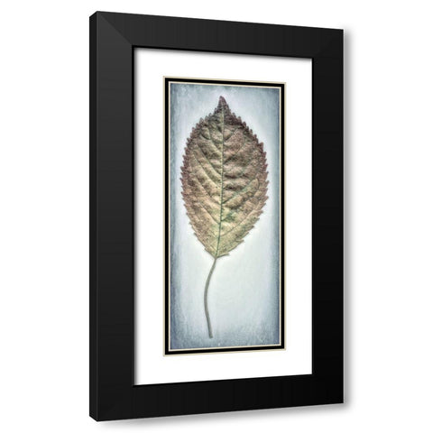 Cherry Leaf II Black Modern Wood Framed Art Print with Double Matting by Mahan, Kathy